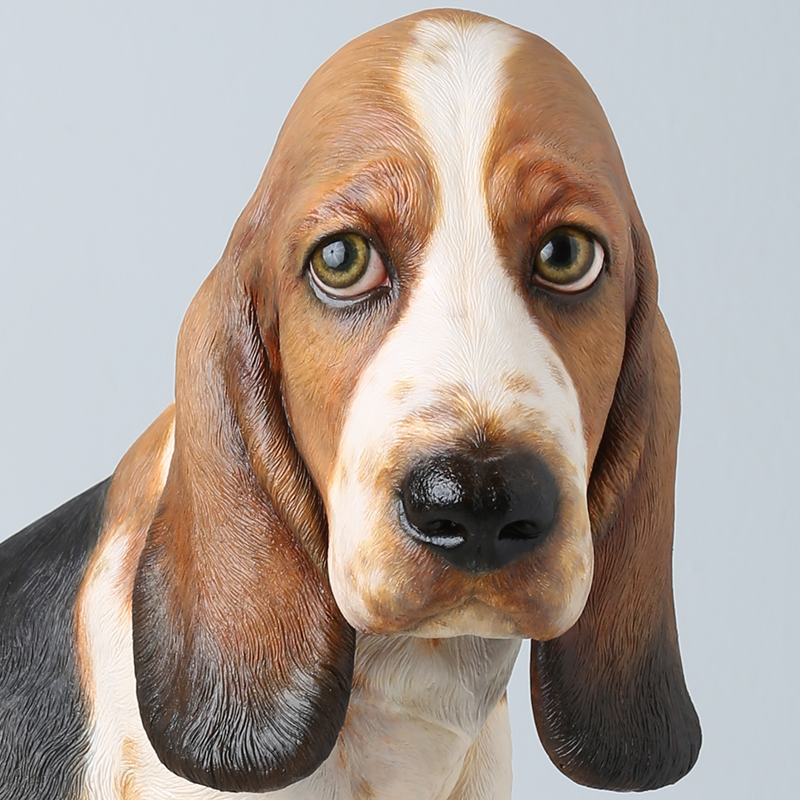 Basset Hound Mog