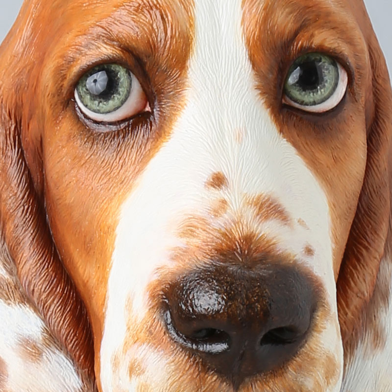 Basset Hound Inu