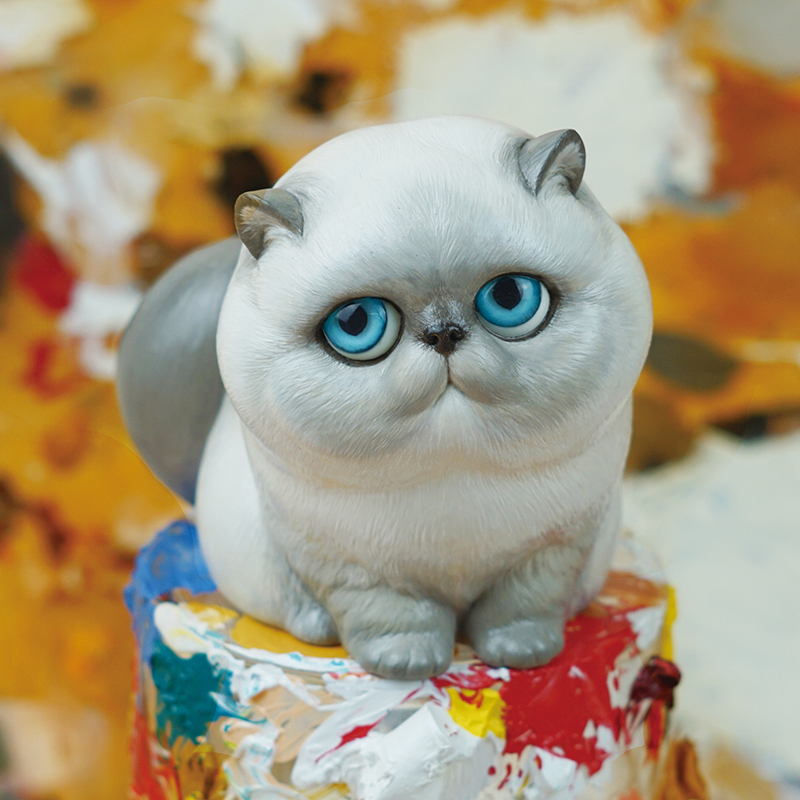 Pig CAT [Susu]