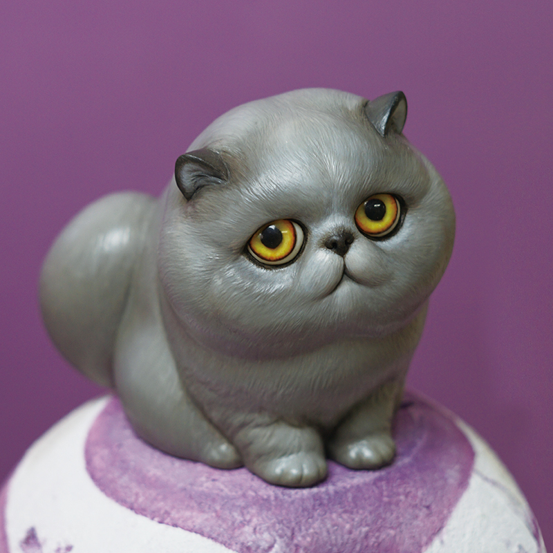 Pig CAT [Susu]